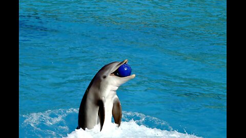 🟢LIVE| Just Chatting! Chillin'!