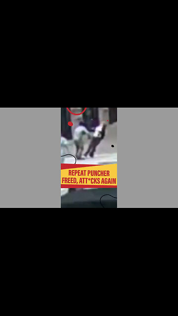 Black Ape (32-Year-Old William Livingston) Goes Around Knocking White Women Out in Chicago