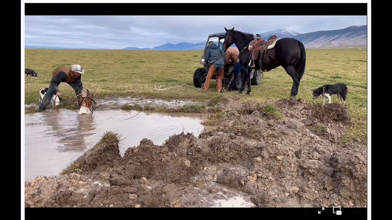 Hard working loving ranchers (or so I originally thought) save their horse - October 2024