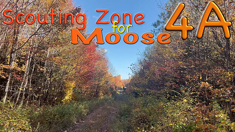 Scouting Zone 4A for Moose