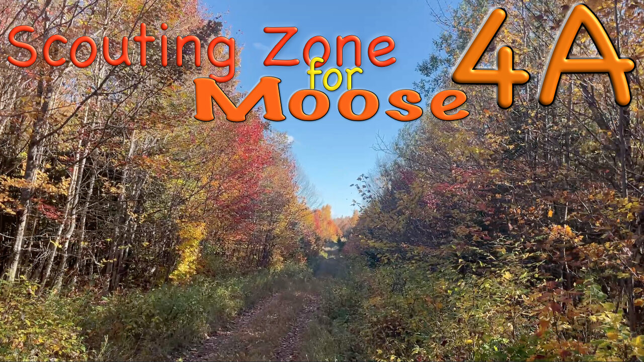 Scouting Zone 4A for Moose