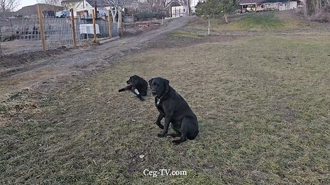 Graham Family Farm: 4:30 PM January 11th 2025
