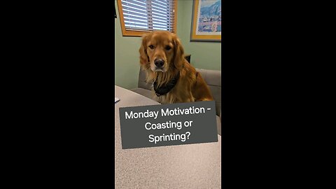 Are you Coasting or Sprinting through the end of the year?
