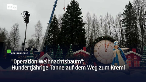 "Operation Weihnachtsbaum": Hundertjährige Tanne auf dem Weg zum Kreml