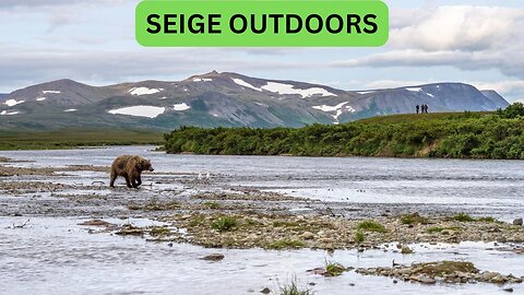 Katmai National Park Bear Feeding Live Stream!