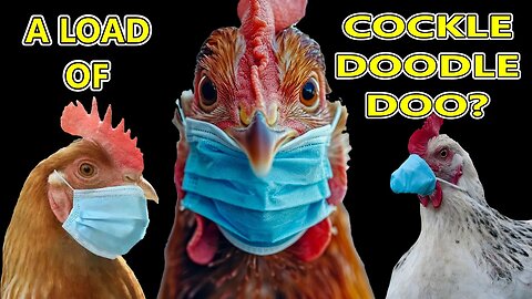 Bird Flu: Where's The Proof?