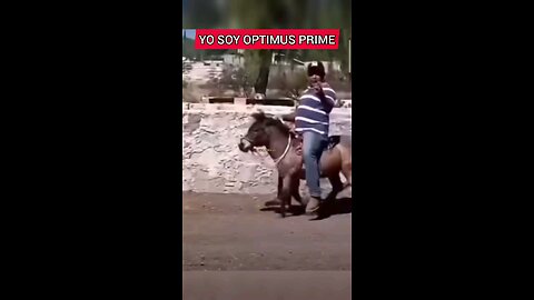 I am Optimus Prime Funny Video