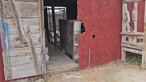 Graham Family Farm NW: Work on the Farm - September 30 2025