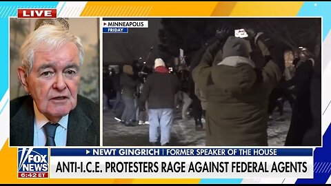 Newt Gingrich: ICE Has The Duty To Enforce The Law