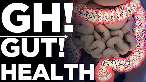 Gut Health: The Secret to Better Energy & Mood | Medickpidia