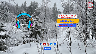 Skogpod 6. februar 2026