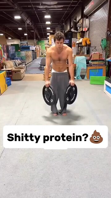 Best Protein For Men And Women-Transparent Labs