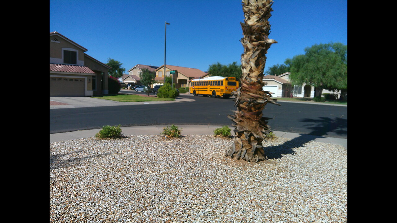 (730) 2016 Thomas Freightliner SAF-T-LINER HDX #T251 Bus ride home from my other school 7/23/2025