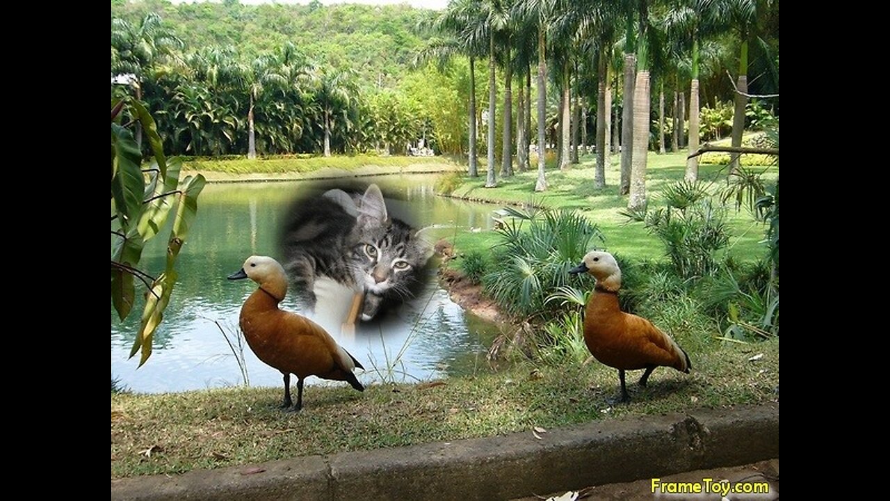 Hjälp till fåglarna i kylan.