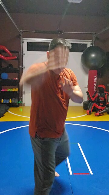 WTD Hand Combination 20 (Third Rank)