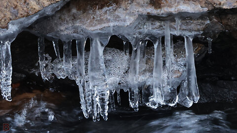 CANON R7 TAKES A WOK TROO DEE POK