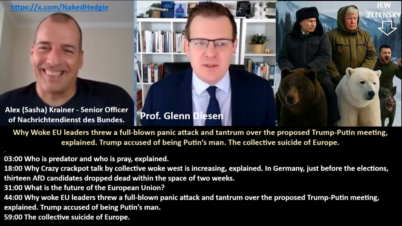 Prof Diesen w/Krainer NDB: Why Woke EU leaders threw a full-blown panic attack and tantrum over the proposed Trump-Putin meeting, explained. Trump accused of being Putin’s man. The collective suicide of Europe.