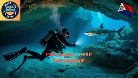 What REALLY Happens When You Meet a SHARK in the Wild?