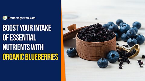 Boost your intake of essential nutrients with Organic Blueberries