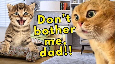 When a Cat is Too Soft to Be a Father (Cat memes) (Ep.33)