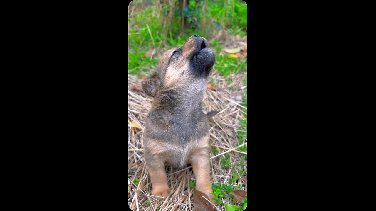 Missing his Momma