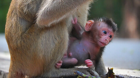 Smart Mom Elpida & Clever Baby ERICA With The Beautiful Nature Today