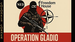 OPERATION GLADIO - CHAPTER 74 - "FREEDOM HOUSE & NED" - EP.470