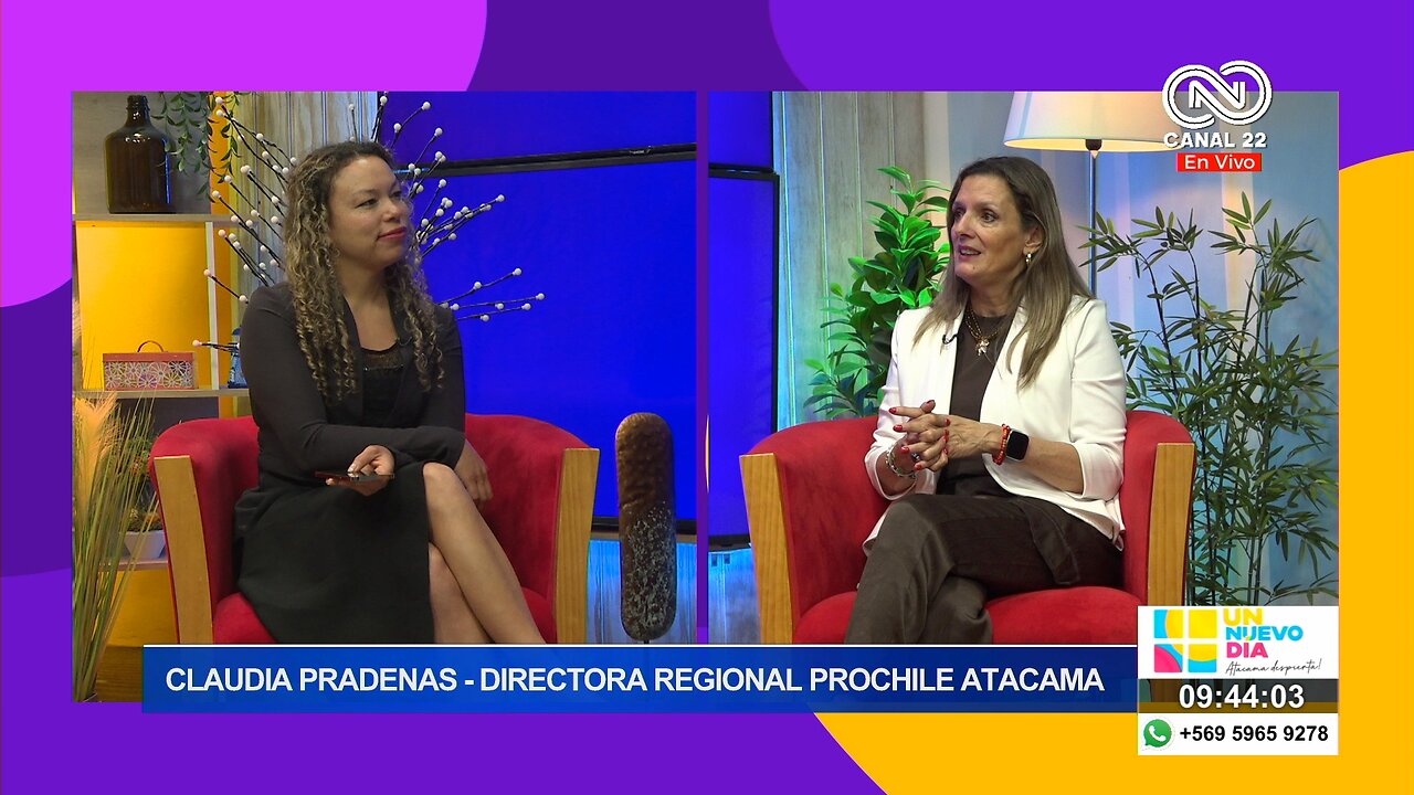 Claudia Pradenas Directora Regional de ProChile Atacama