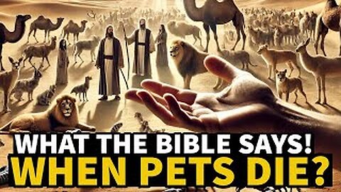 What the Bible say! When pets die?