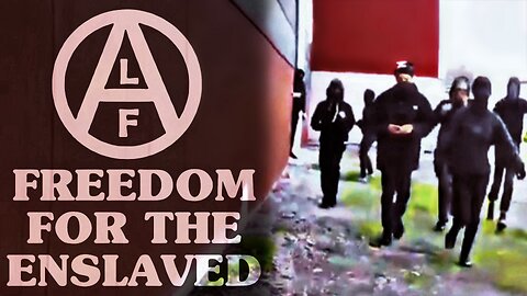 The Animal Liberation Front Raids Mink Farm