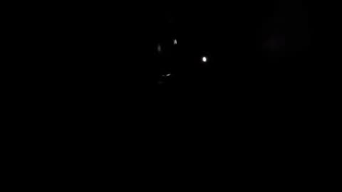 😨🏠 The Scariest Crying Sound I've Ever Heard in My Apartment! | TheHauntingHour