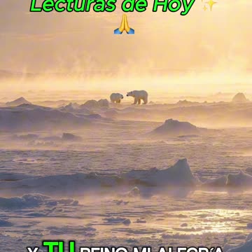 🙏✨ Oración Inspirada en las Lecturas de Hoy ✨🙏