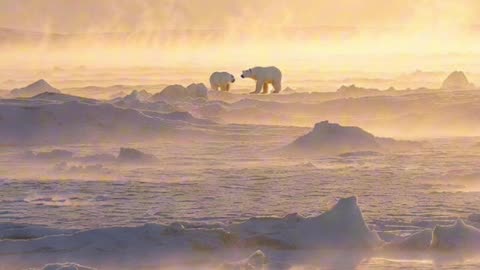 🙏✨ Oración Inspirada en las Lecturas de Hoy ✨🙏