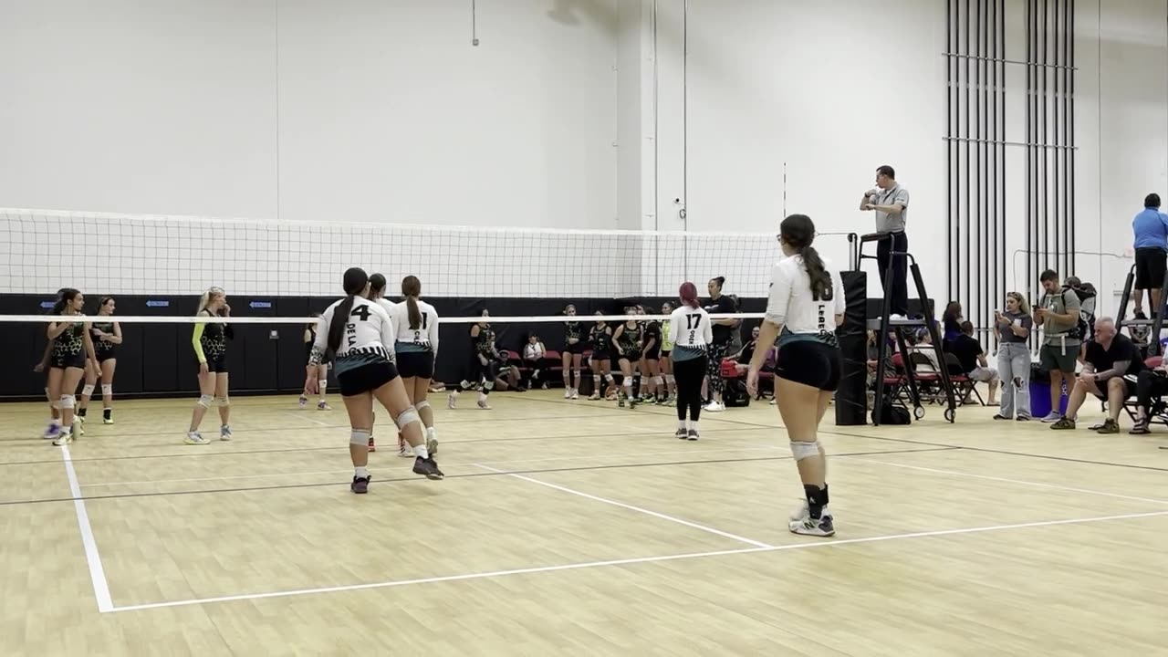 Rose #17 and Next Level Volleyball vs. Hornets