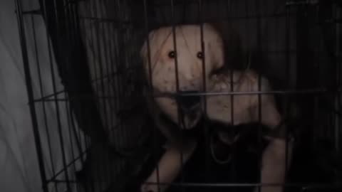 😱💥 The Most Possessed TikToker Ever! | TheHauntingHour