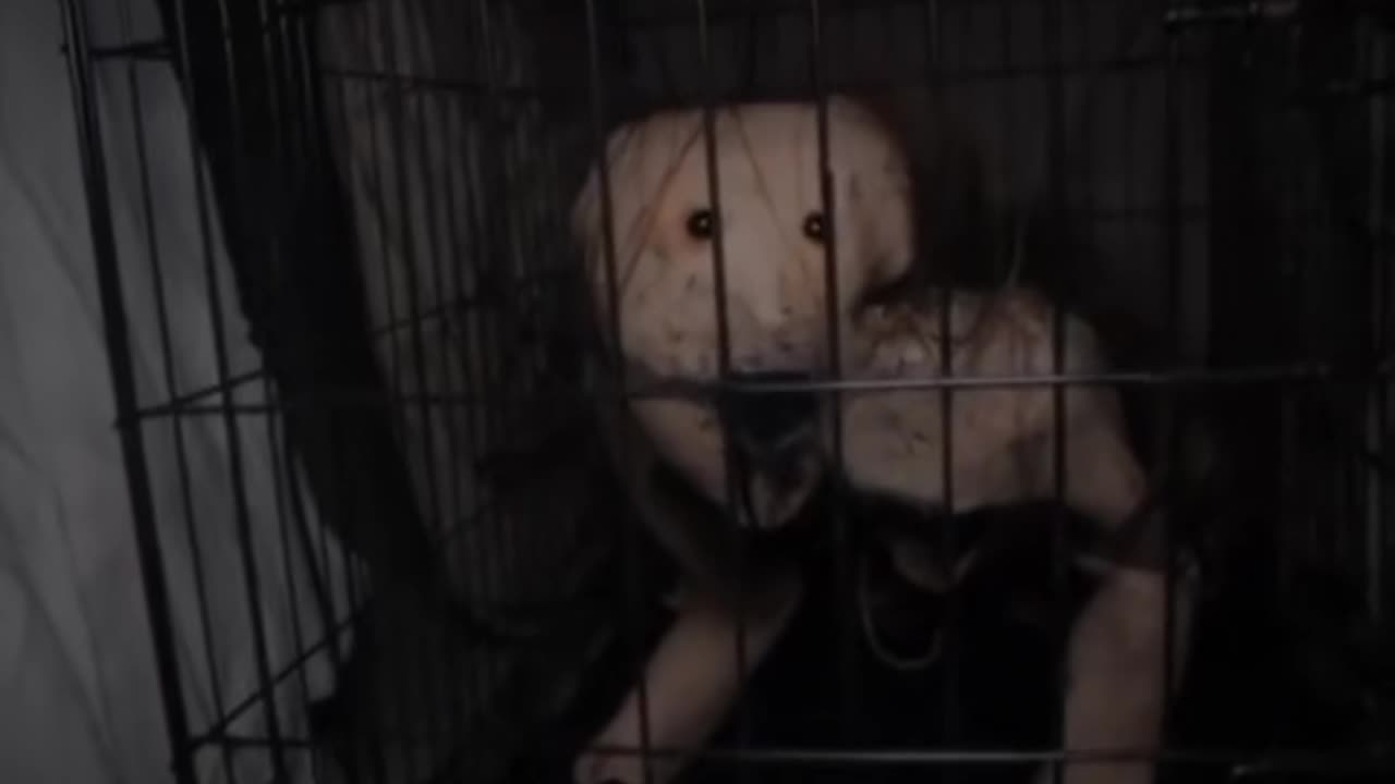 😱💥 The Most Possessed TikToker Ever! | TheHauntingHour