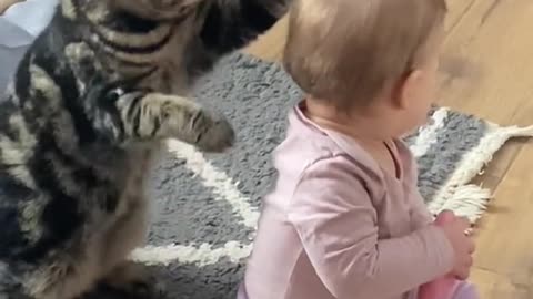 Mama Cat with Cute Baby 🥰🥰🥰