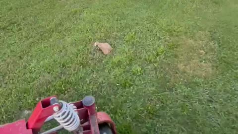 RIDING LAWNMOWER UPLOAD