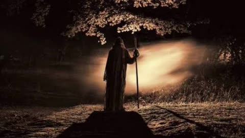 The Shocking Truth: What REALLY Kills Us (Not Old Age)