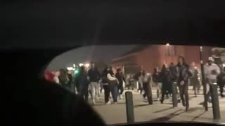 Looks like Africa but it’s in Leicester.