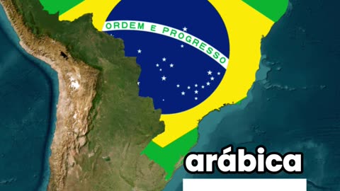 Os Maiores Exportadores de Café do Mundo