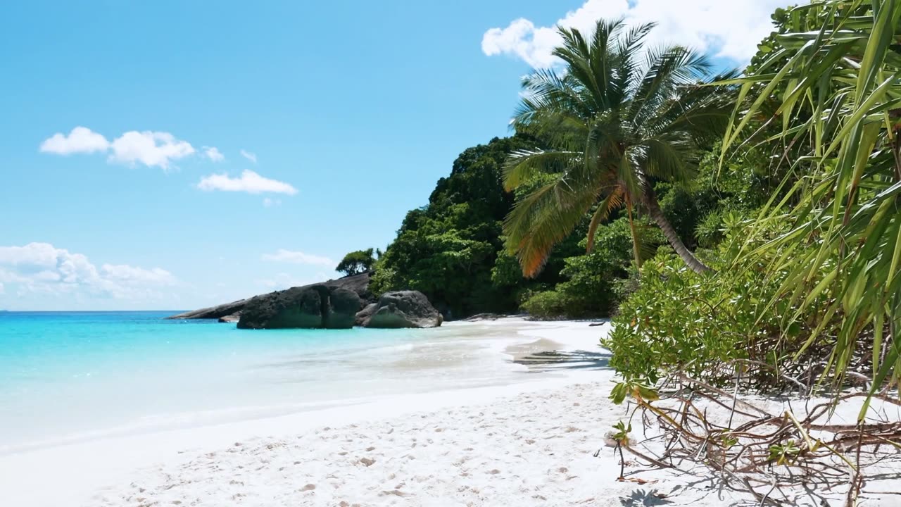 Salty Lips - Instrumental