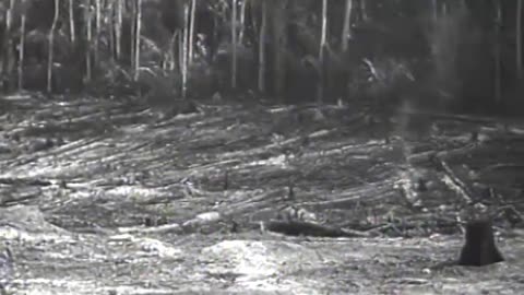 [FORD, SOUTH AMERICA] - [FORD, SOUTH AMERICA] - fc-fc-1176