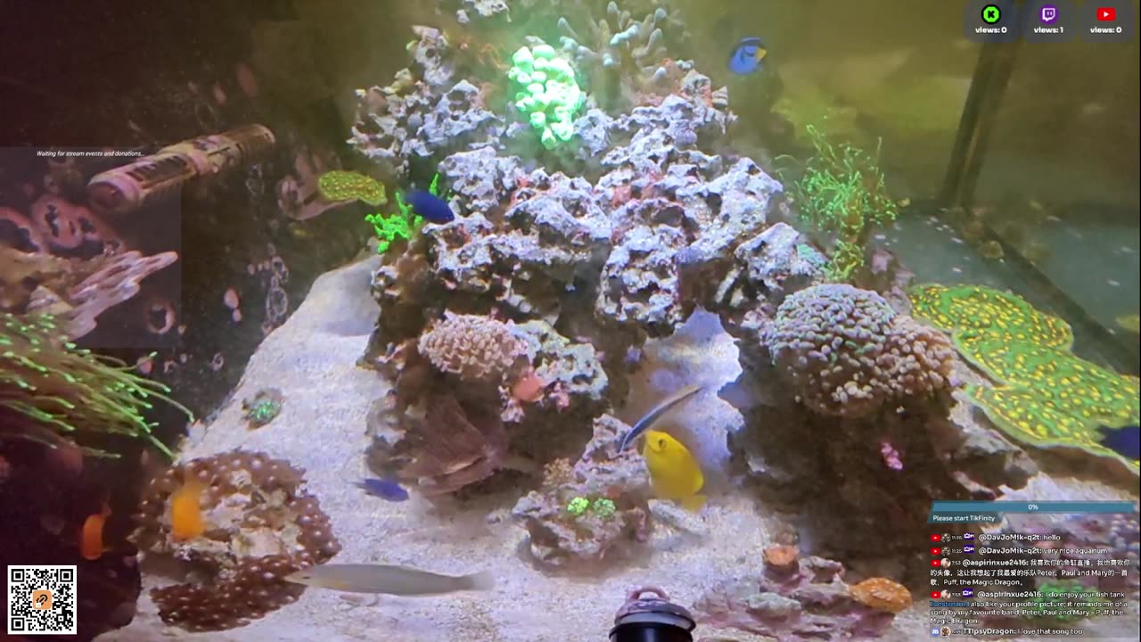 24/7 Real Live Reef Stream