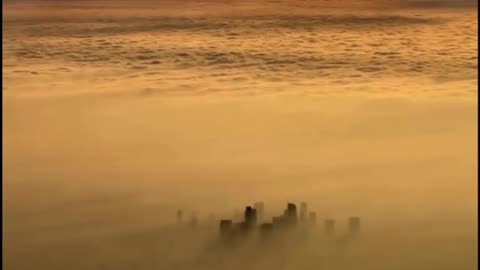 Radiation Fog Is Now in LA And the Sun Can't Clear It.