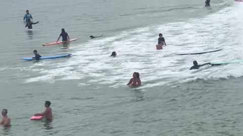 Dog Living His Best Life At Ipanema Beach