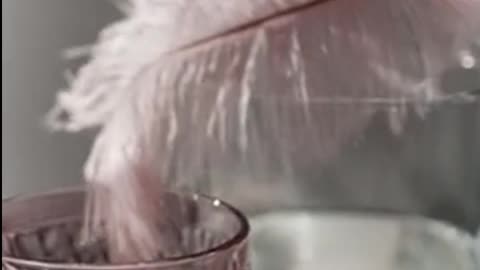 Daily Horoscope | Virgo 🌟