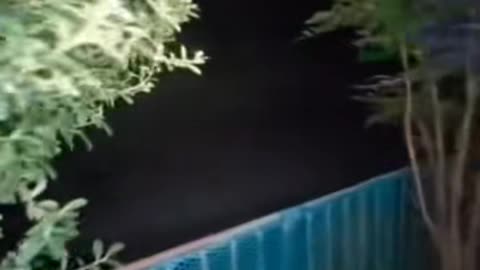 😱👽 Windigo Sighting? You Won't Believe Your Eyes! | TheHauntingHour