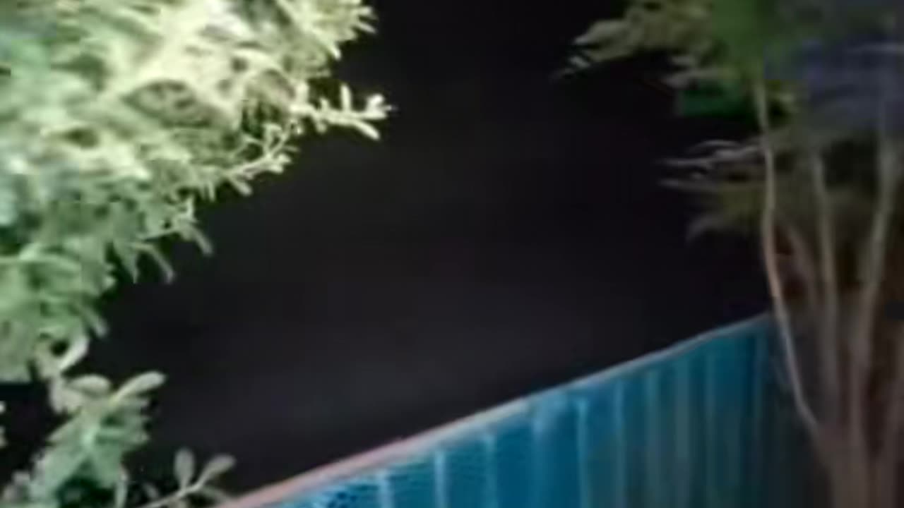 😱👽 Windigo Sighting? You Won't Believe Your Eyes! | TheHauntingHour