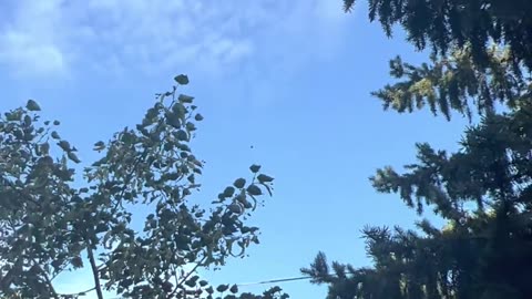 👁️😱 Shocking UFO Lights Captured Over Montreal! | TheTruthAbove